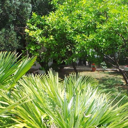 غراداك Pension Vice المظهر الخارجي الصورة