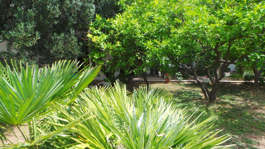 غراداك Pension Vice المظهر الخارجي الصورة