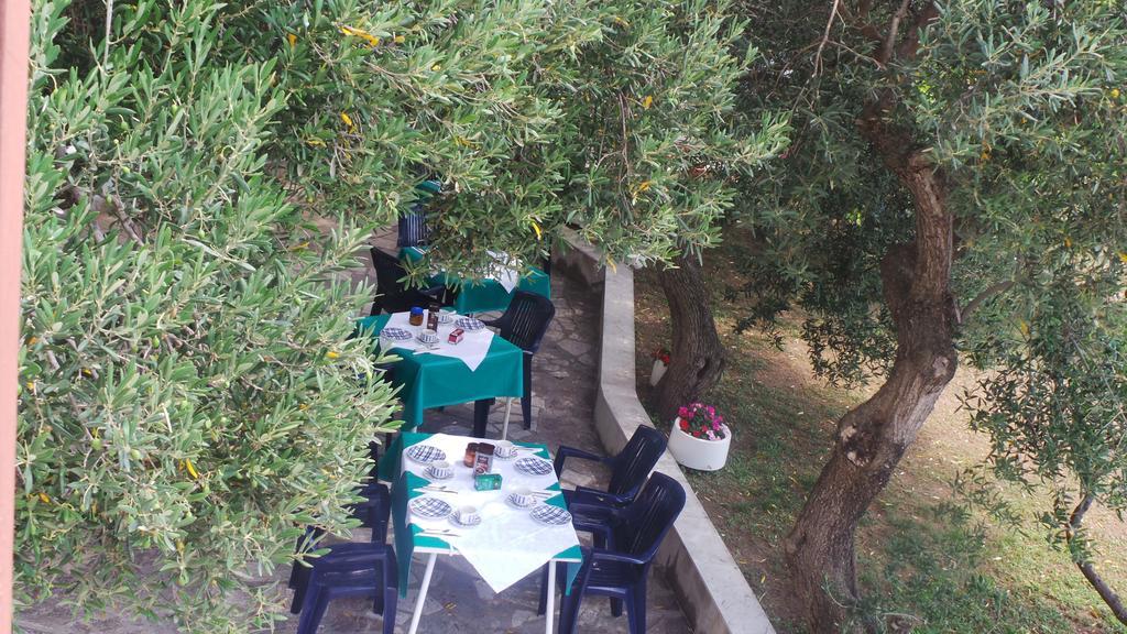 غراداك Pension Vice المظهر الخارجي الصورة